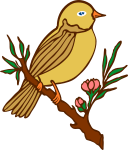 Perched bird (colour)
